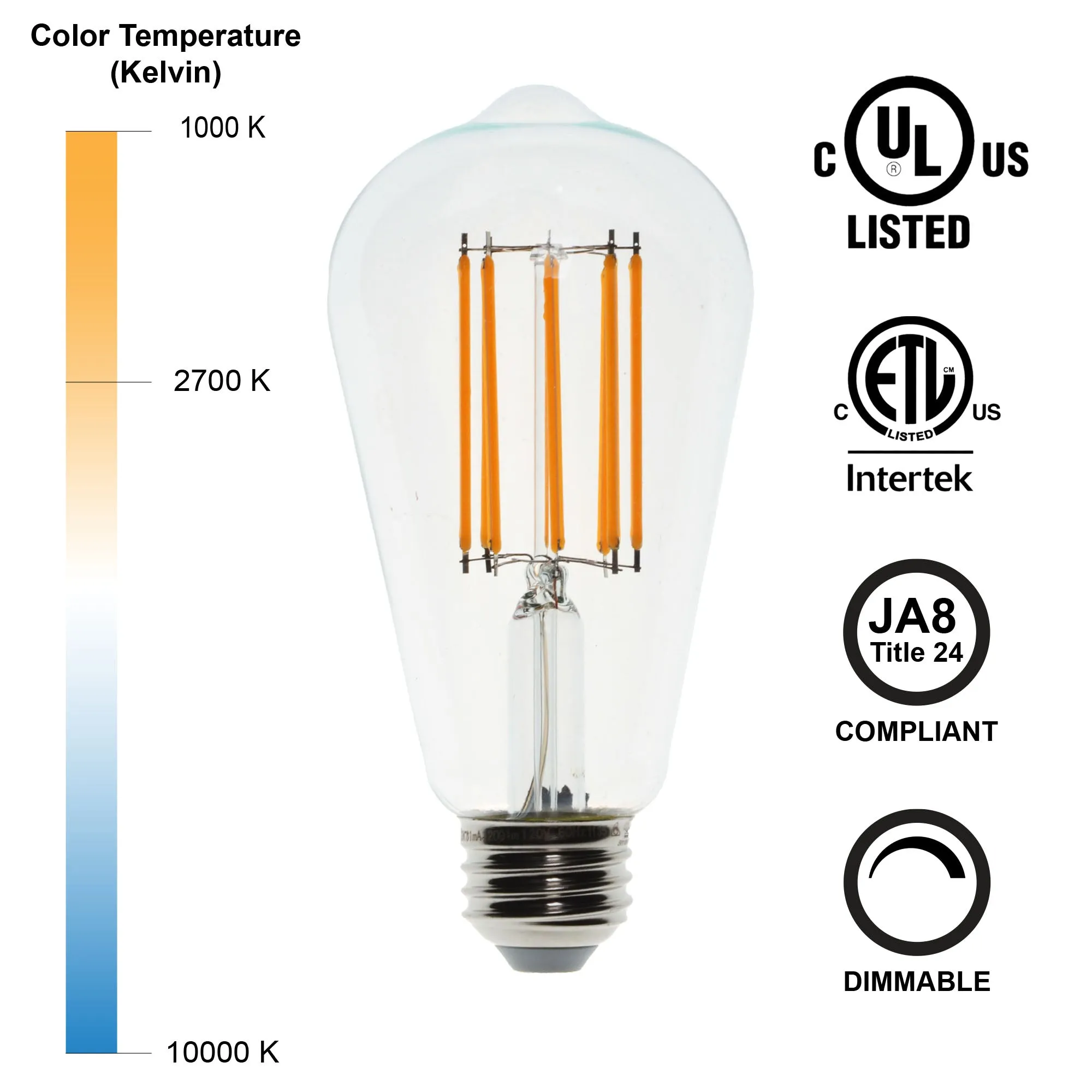 10 Watt LED Filament Bulb (2700k) - Dimmable & Energy-Efficient | Bicycle Glass Co.