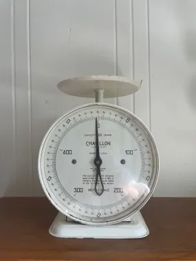 Blanca's Chatillion dietary scale