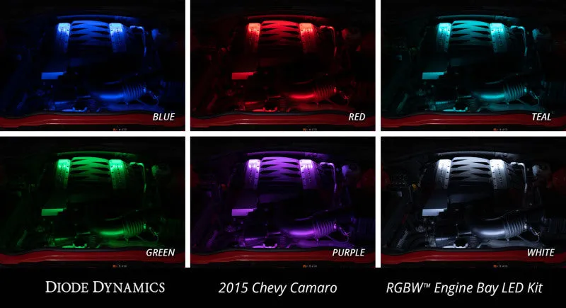 Diode Dynamics RGBW Engine Bay Strip Kit 2pc Multicolor