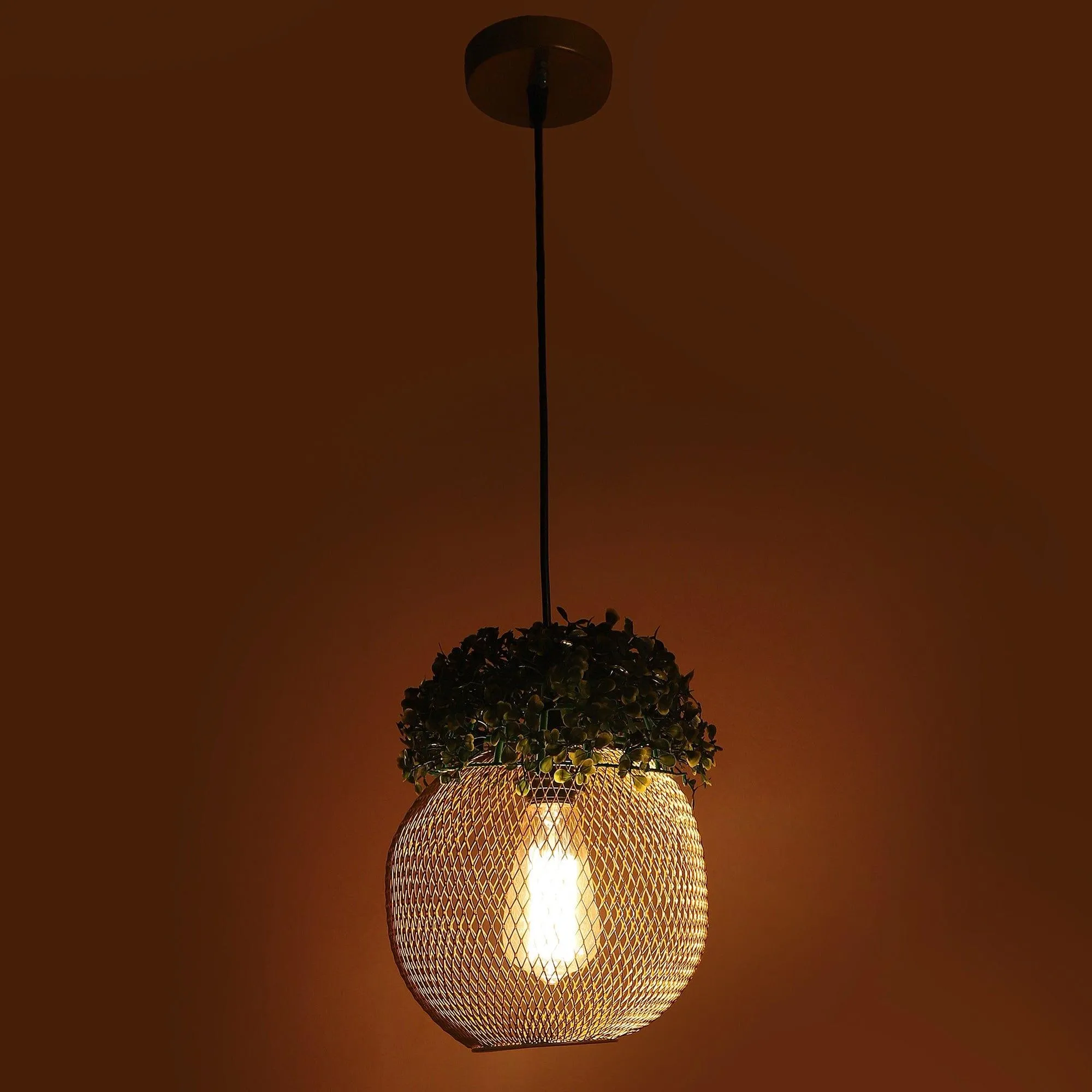 Golden Glass Iron Hanging Lights