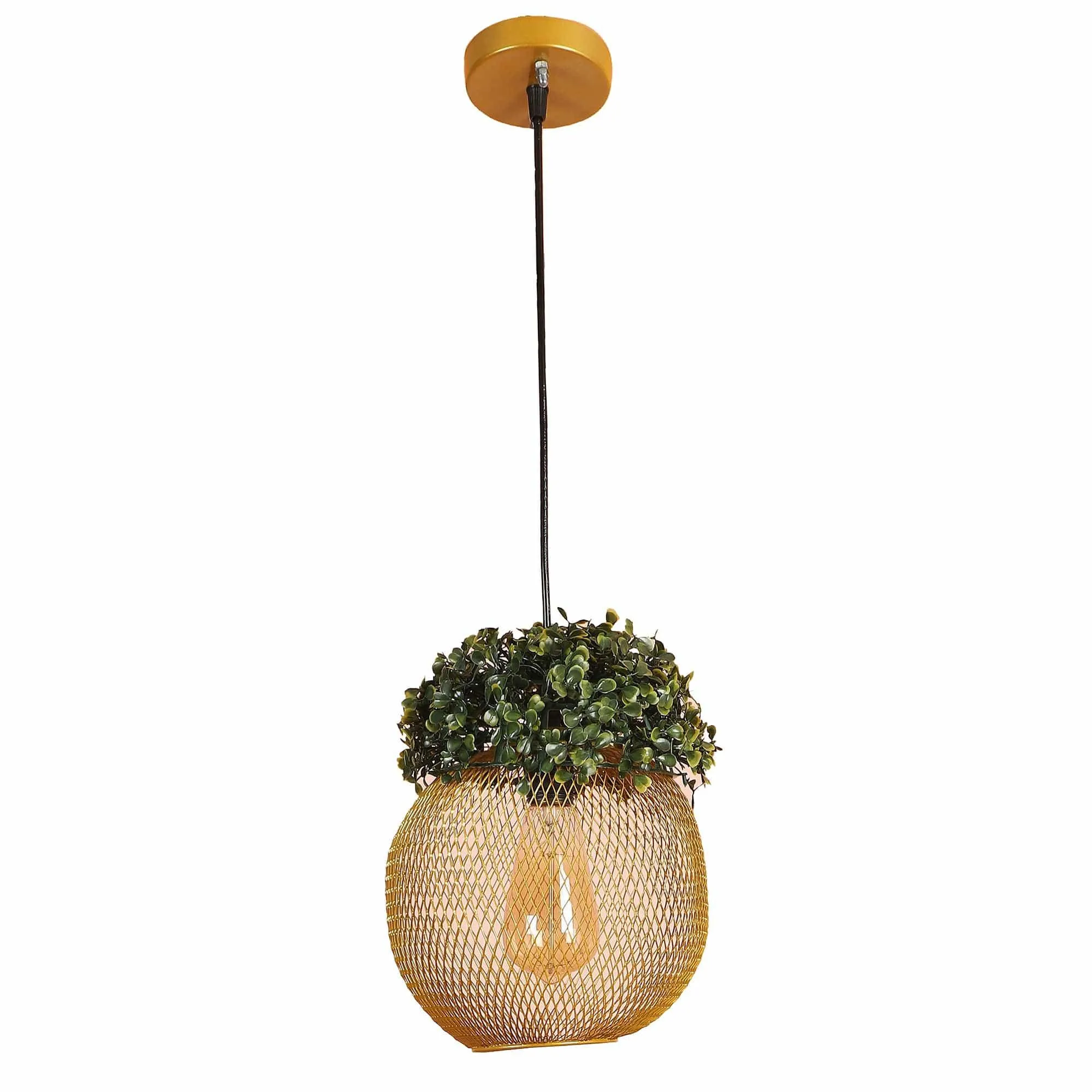 Golden Glass Iron Hanging Lights