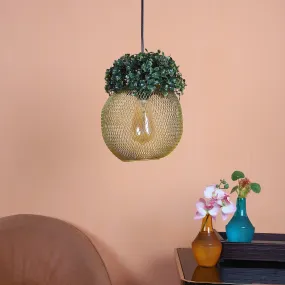 Golden Glass Iron Hanging Lights