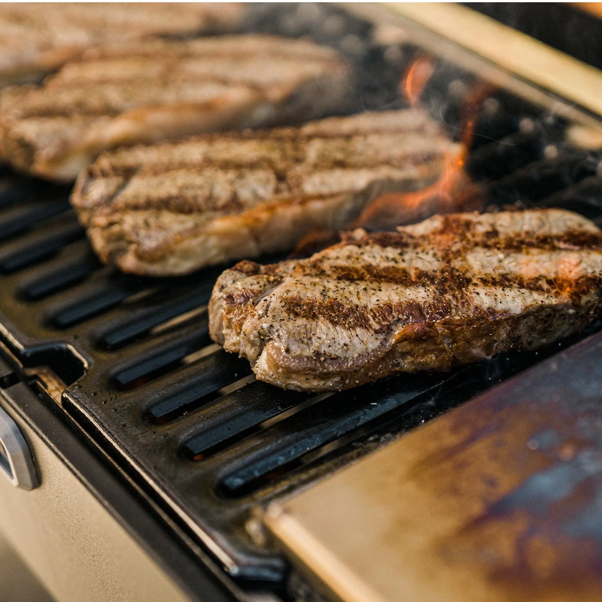 Masterbuilt Portable Charcoal BBQ
