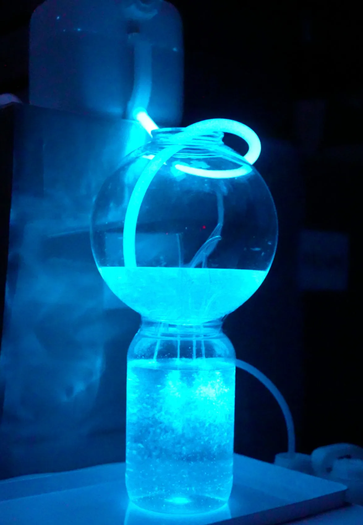 PyroDinos bioluminescent plankton - 2.5 gallons (10L)