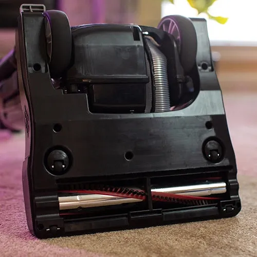 R25 Premium Pet Upright Vacuum