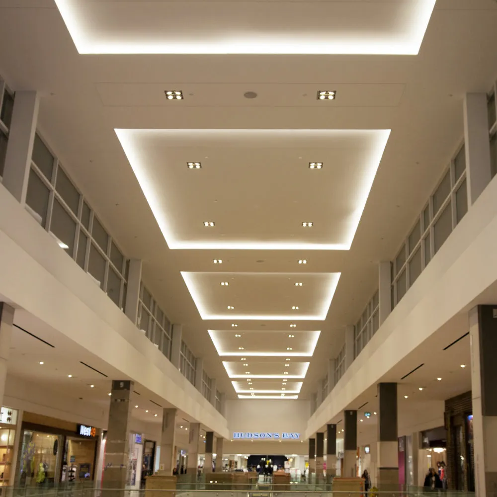 Tunable White LED Strip Lights, IP20, 16.4ft, Dimmable, 12V, SMD 2835, 120 leds/Meter, UL, RoHS Listed - 378 Lumens/ft with Power Supply and Controller (KIT)